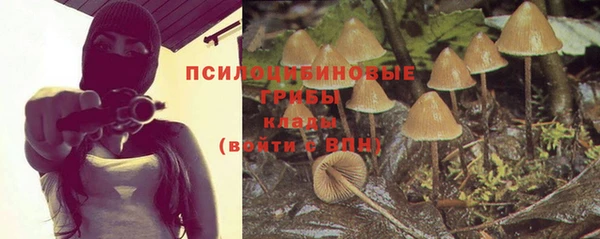 spice Киренск