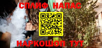 крисы Кулебаки