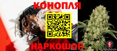 винт Краснознаменск