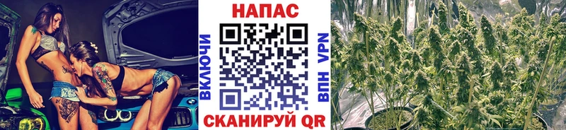 Марихуана MAZAR  Красноармейск 